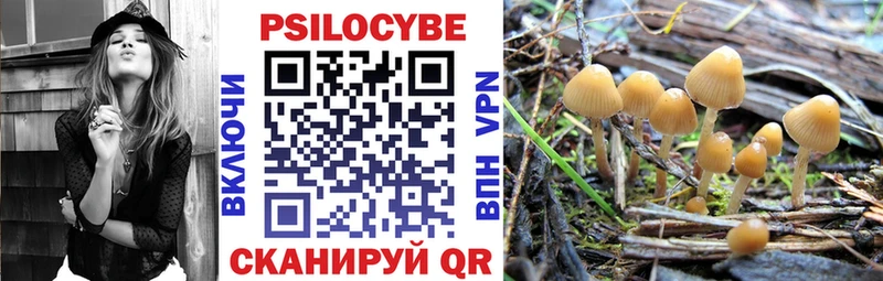 Галлюциногенные грибы Psilocybine cubensis  нарко площадка как зайти  Новосиль 