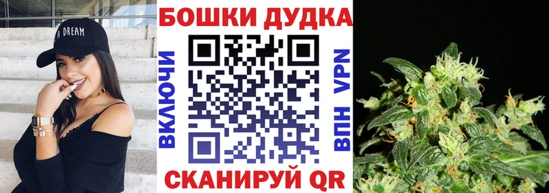 закладки  Новосиль  Марихуана конопля 
